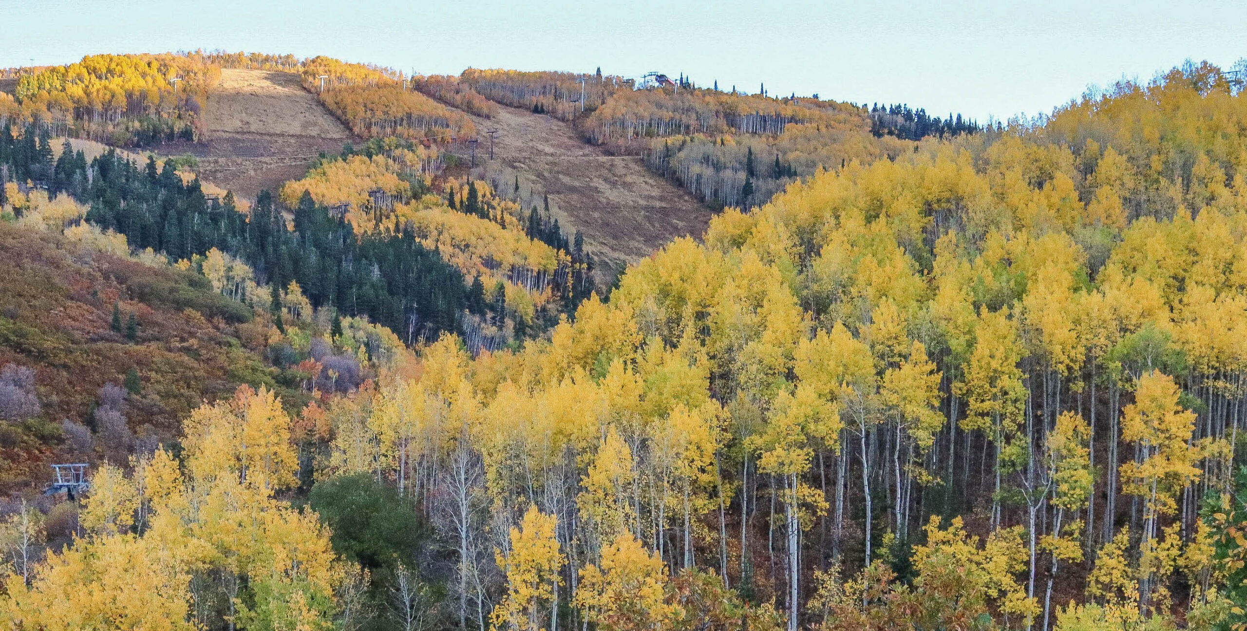 Utah Leaf Peeping | 3 Spots (without The Crowds) In 2021